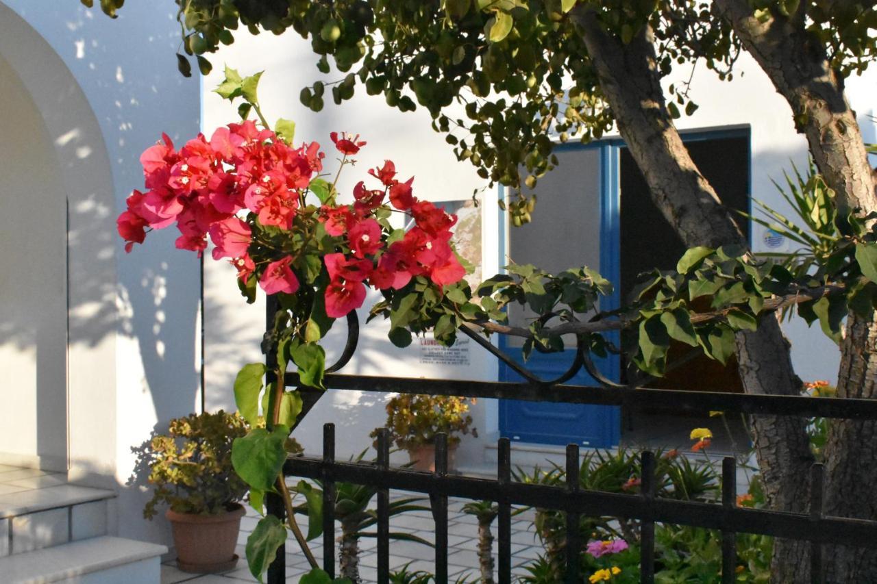 Dedalos Studios Naxos Naxos City Exterior photo